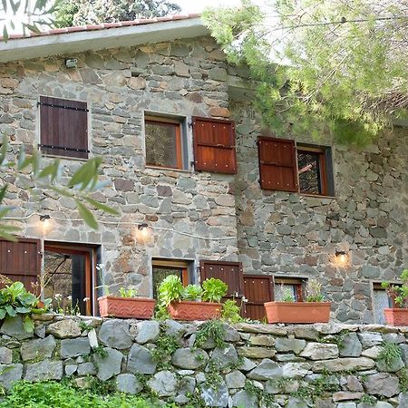 Due Pini Corniglia Exterior photo
