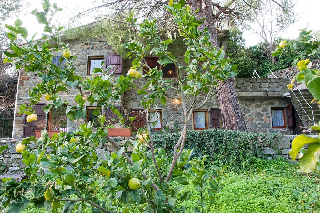 Due Pini Corniglia Exterior photo