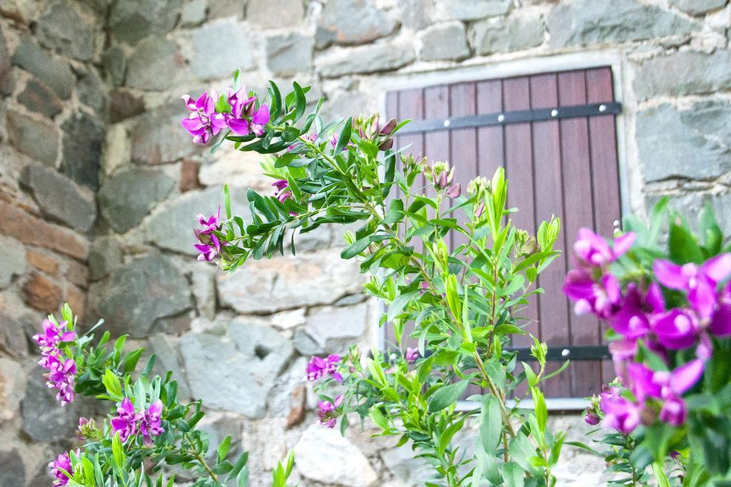 Due Pini Corniglia Exterior photo