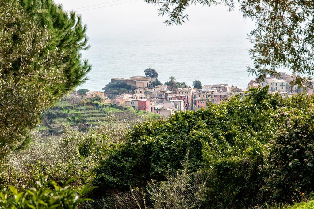 Due Pini Corniglia Exterior photo